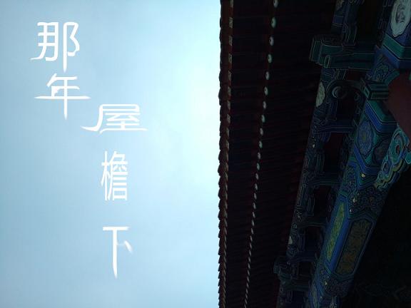 那年花开月正圆演员表